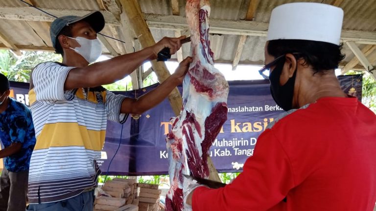 Berkah Qurban BPKH – Lazismu di Daerah 3T Ulu Belu Tanggamus